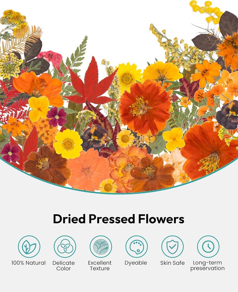 Resiners Dried Flowers, 100Pcs Pressed Flowers for Craft Real Natural Dried Flowers Dry Leaves Kit for DIY Making Crafts Resin Soap Candle Scrapbook Supplies Card Making Jewelry - Image 4